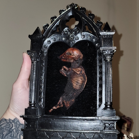 Gothic Mummified Piglet Display - Picture 2 of 6